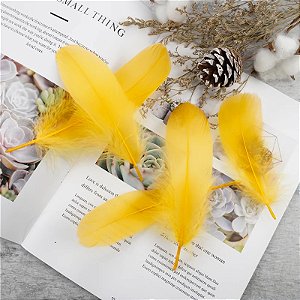 100 Penas de Ganso Macio - Tam : 13-18cm - Pluma De Cisne Natural Cor:AMARELO-OURO