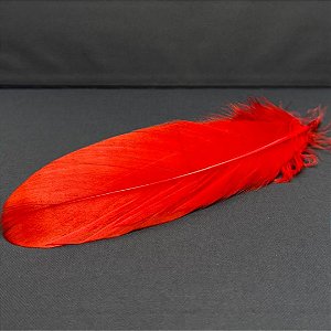 100 Penas de Cegonha Macio - Tam : 15-20cm - Pluma De Cisne Natural Cor:VERMELHO
