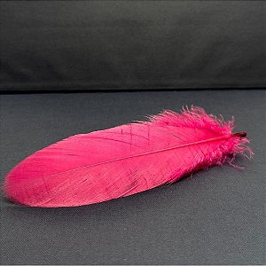 100 Penas de Cegonha Macio - Tam : 15-20cm - Pluma De Cisne Natural Cor:PINK