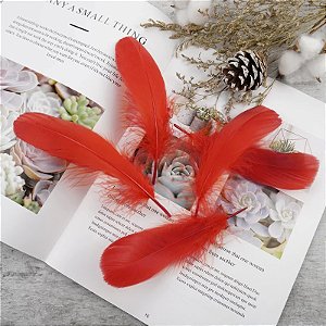 100 Penas de Ganso Macio - Tam : 13-18cm - Pluma De Cisne Natural Cor:VERMELHO