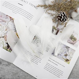 100 Penas de Ganso Macio - Tam : 13-18cm - Pluma De Cisne Natural Cor:BRANCO