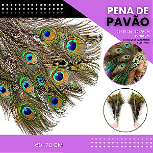 10 Penas de Pavão Natural - Tam: 60-70cm Artesanato, Cocar, Decoração