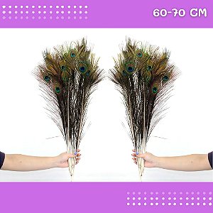10 Penas de Pavão Natural - Tam: 60-70cm Artesanato, Cocar, Decoração