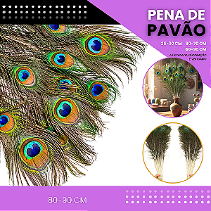 10 Penas de Pavão Natural - Tam: 80-90cm Artesanato, Cocar, Decoração