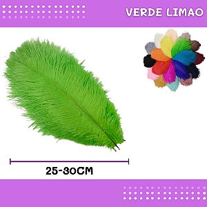 6 Penas de Avestruz Coloridas - 25-30cm COR:VERDE-LIMAO