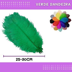 6 Penas de Avestruz Coloridas - 25-30cm COR:VERDE-BANDEIRA