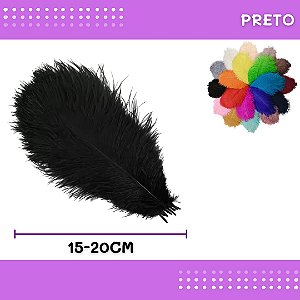 6 Penas de Avestruz Coloridas - 15-20cm COR:PRETO