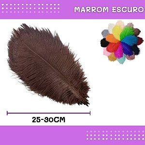 6 Penas de Avestruz Coloridas - 25-30cm COR:MARROM-ESCURO