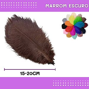 6 Penas de Avestruz Coloridas - 15-20cm COR:MARROM-ESCURO