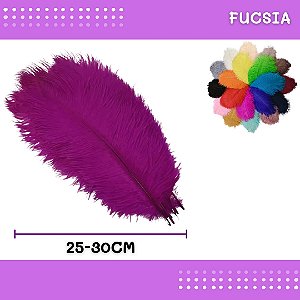6 Penas de Avestruz Coloridas - 25-30cm COR:FUCSIA