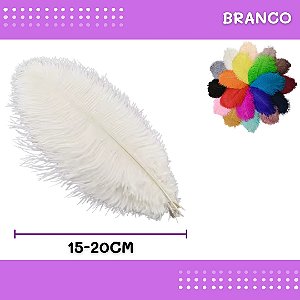 6 Penas de Avestruz Coloridas - 15-20cm COR:BRANCO