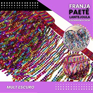 Franja Paetê Lantejoula MOD: 08 - 30cm - Rolo C/ 9.1 Mts COR:MULT1-HOLOGRAFICO