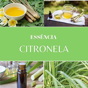 Essência CITRONELA