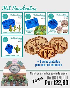 Kit Suculentas - 7 peças