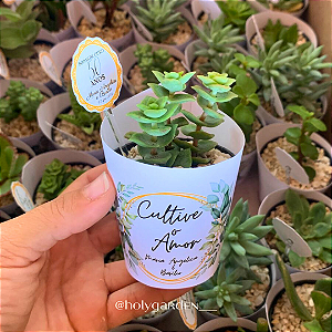 Lembranças com suculentas no Papel Fotográfico