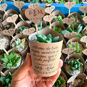 Lembranças com Suculentas no Papel Kraft