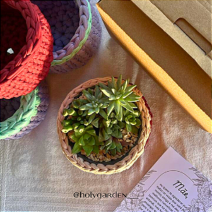 Especial Dia das Mães - Arranjo Suculentas com Cachepot +  Embalagem Exclusiva!