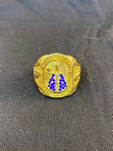 DEDEIRA NOSSA SENHORA APARECIDA CRAVEJADA BANHADA A OURO 18K