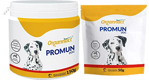 Promun dog