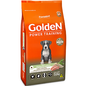 Golden Power Training Filhotes