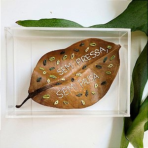 Folha Mimo Folhas Ao Vento