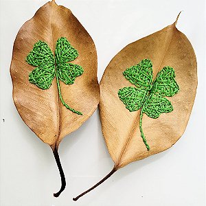 Folha Mimo Trevo