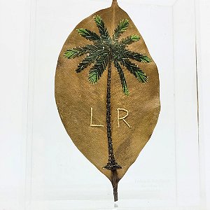 Folha Mimo Árvores Iniciais