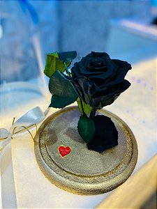 Rosa Encantada Black