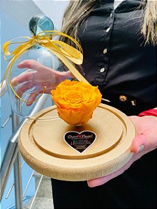 Rosa Encantada Laranja