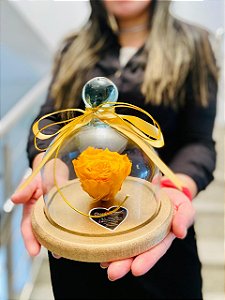 Rosa Encantada Laranja