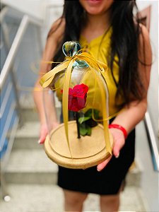 Rosa Encantada Coração - Cúpula Larga