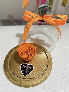 Rosa Encantada Laranja