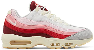 NIKE AIR MAX 95 ' ANATOMY OF AIR '