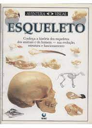 Livro Esqueleto - Col. Aventura Visual Autor Parker, Steve (1990) [usado]