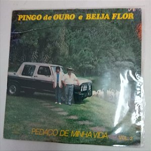 Disco de Vinil Píngo de Ouro e Beija - Flor /pedaço de Minha Vida Interprete Pingo de Ouro e Beija - Flor (1989) [usado]
