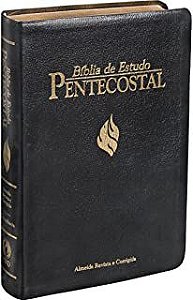 Livro Bíblia de Estudo Pentecostal Autor Vários Colaboradores (1995) [seminovo]