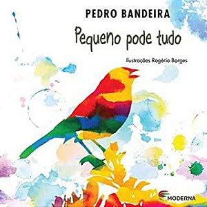 Livro Pequeno Pode Tudo Autor Bandeira, Pedro (2010) [usado]