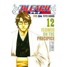 Gibi Bleach Nº 12 Autor Tite Kubo [novo]