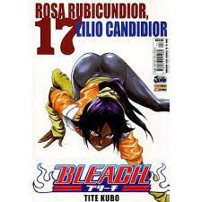 Gibi Bleach Nº 17 Autor Tite Kubo (2007) [usado]