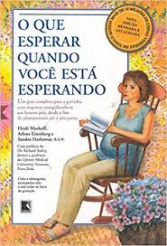 Livro o que Esperar Quando Você Está Esperando Autor Murkoff, Heidi (2009) [usado]