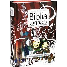 Livro Bíblia Sagrada - Edição com Notas para Jovens Autor Desconhecido (2009) [usado]