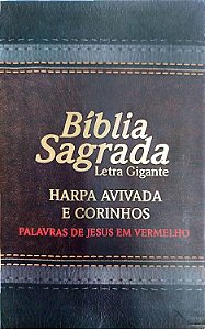 Livro Bíblia Sagrada - Letra Gigante Autor Vários (2012) [seminovo]