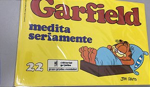 Gibi Garfield Nº 22 - Medita Seriamente Autor Jim Davis [usado]