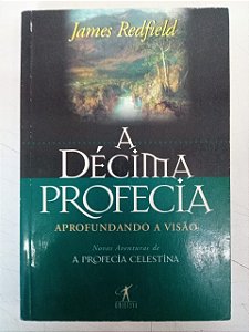 Livro a Décima Professia Autor Redfield, James (1996) [usado]