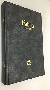 Livro Bíblia com Estudos Adicionais Autor Desconhecido (2002) [usado]