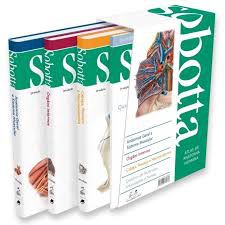 Livro Box Atlas de Anatomia Humana Autor Sobotta (2019) [seminovo]