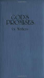 Livro God''s Promises For Mothers Autor Desconhecido [seminovo]