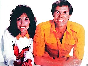 Disco de Vinil Carpenters - Just Hits Interprete Carpenters (1982) [usado]