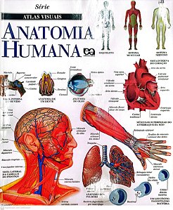 Livro Anatomia Humana - Série Atlas Visuais Autor Vários (2009) [seminovo]