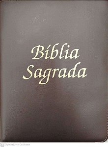Livro Biblia Sagrada Autor Vários (2012) [seminovo]